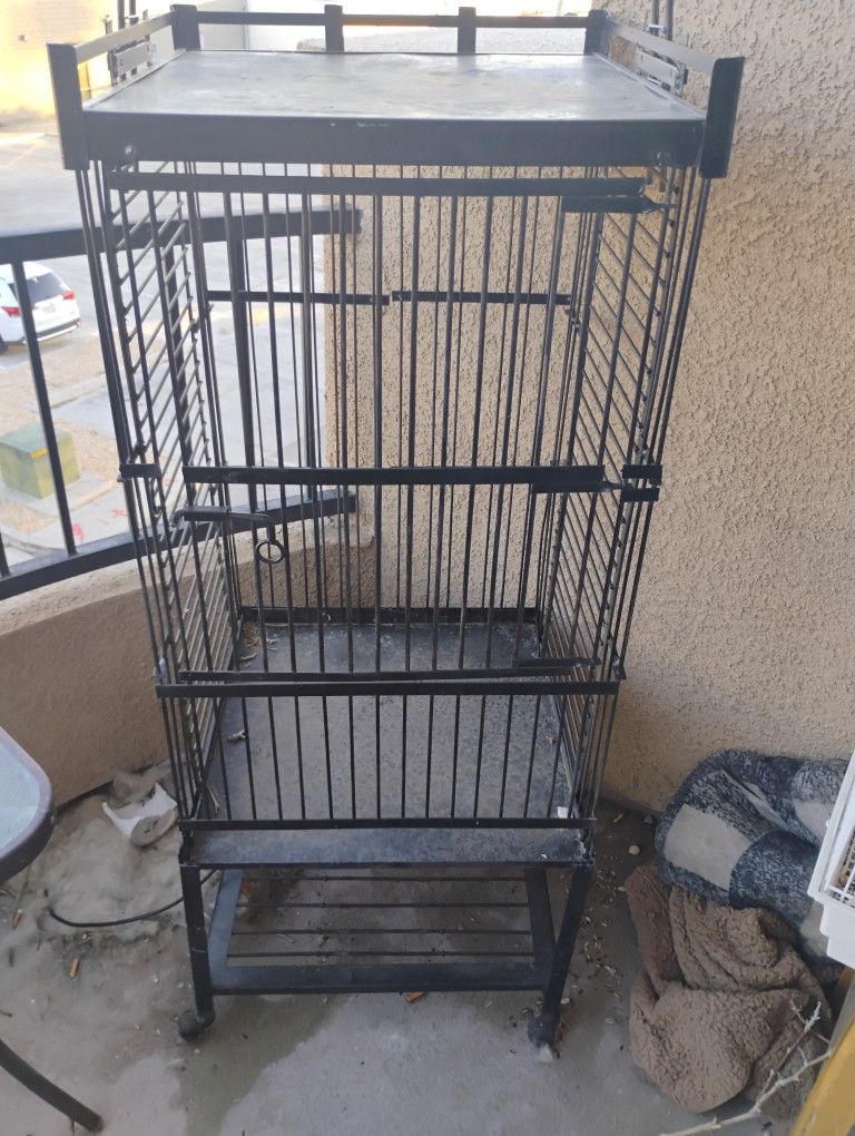 Bird Cage