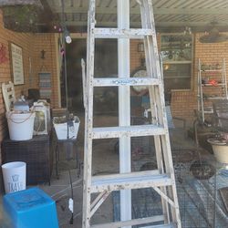 Warner 8ft Ladder