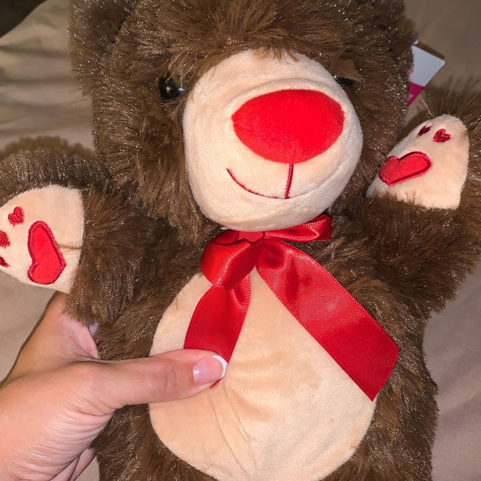 Brown Teddy Bear