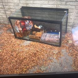 Reptile tank with supplies