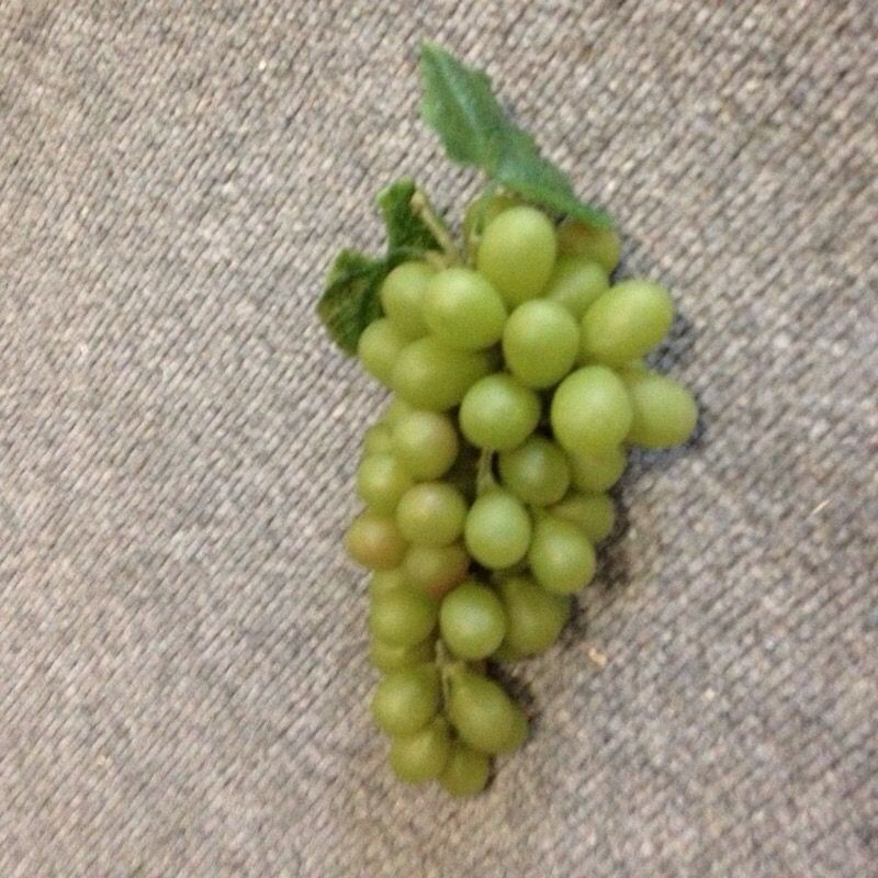 Display Grapes