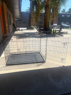 Large dog cage