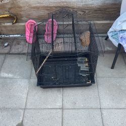 Bird 🦅 Cage