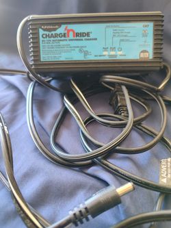 Charge And Ride Automatic Universal Charger