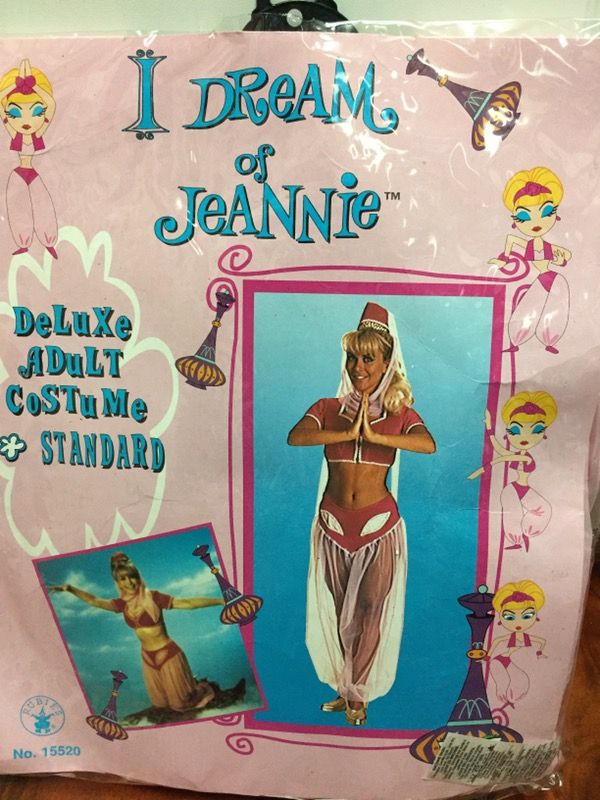 Adult I Dream of Jeannie Costume