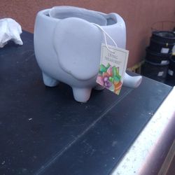 Elefant Pot