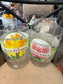 Bloomaker Glass Vases
