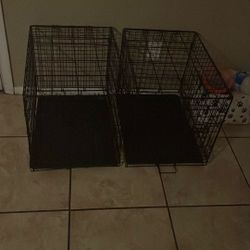 Dog Kennel