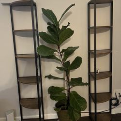 6 Tier Corner Book Shelf Industrial Style