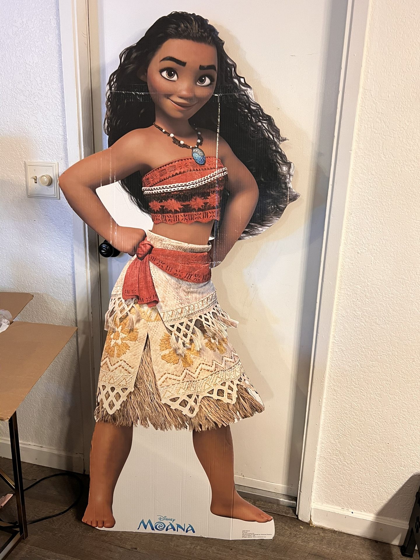 Moana Party Supplies