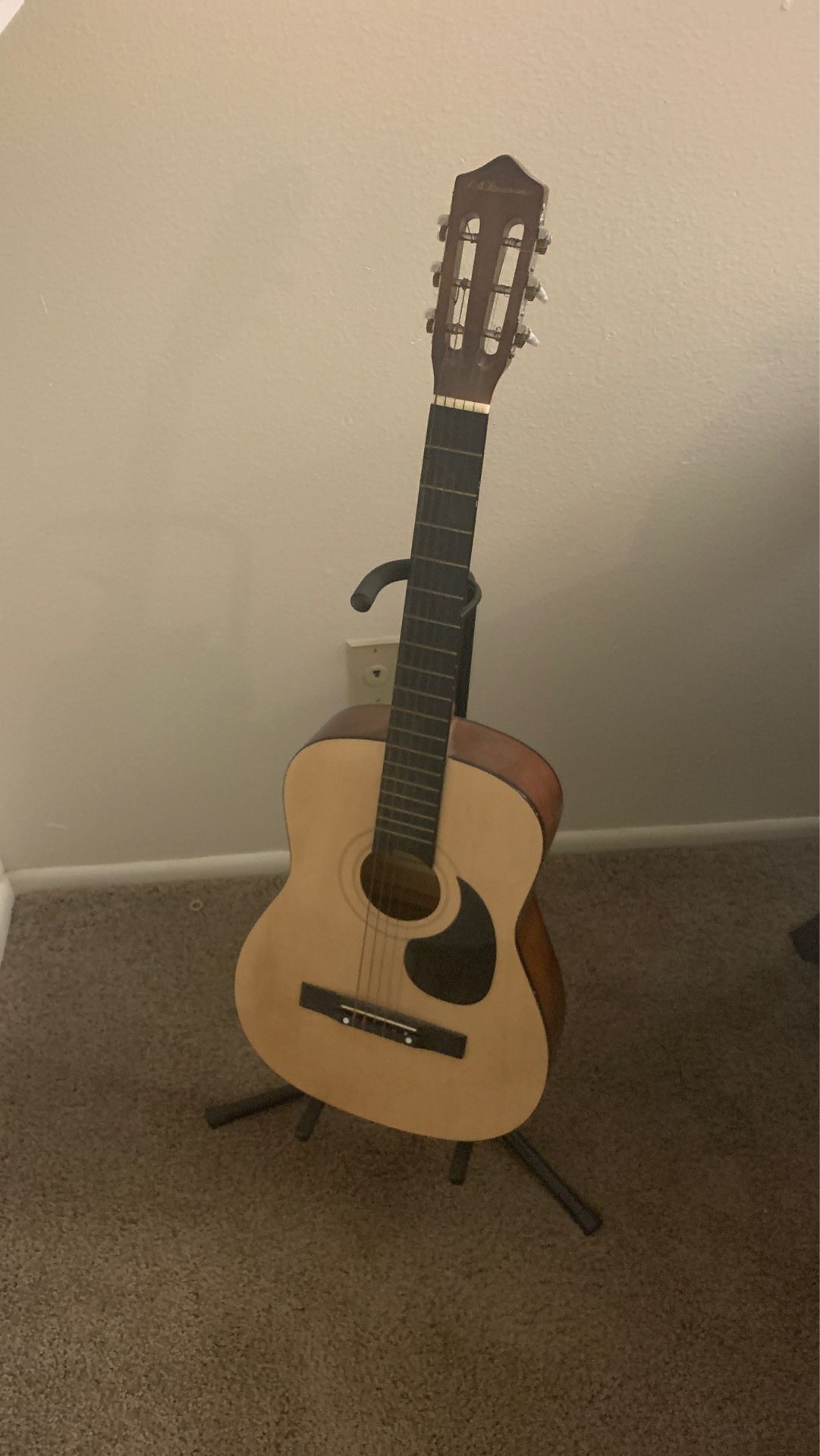 Autistic guitar