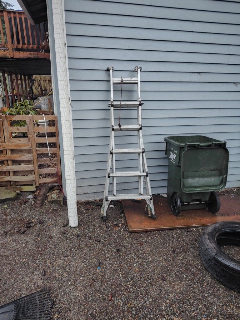 Werner Multipurpose Articulating Ladders