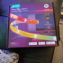 Govee Light Role