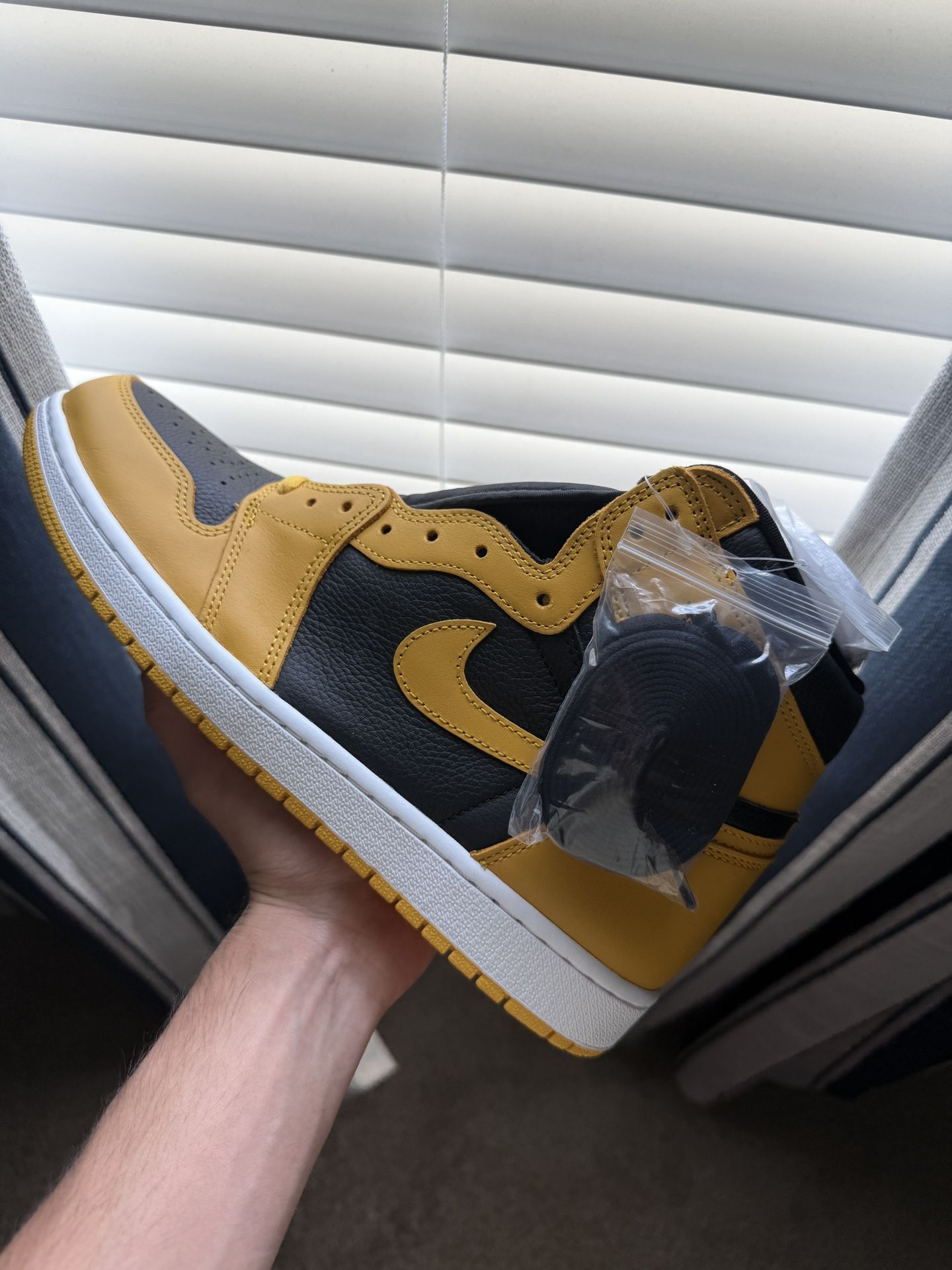 Air Jordan 1 Pollen Size 11.5