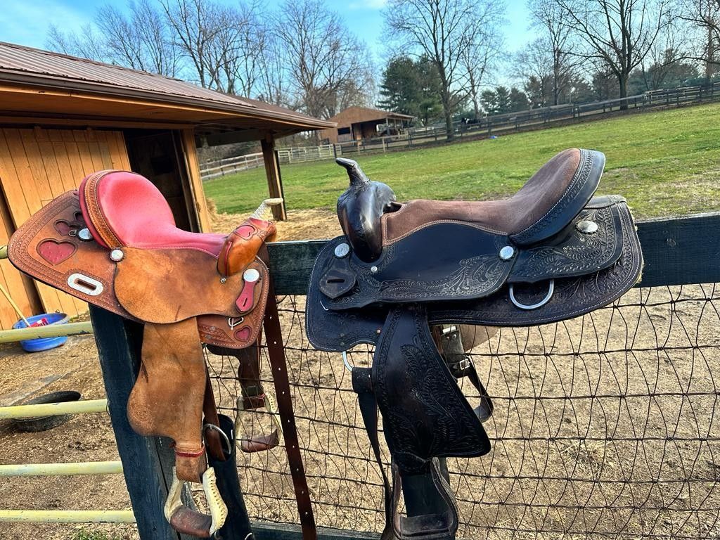 Horse Saddle