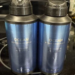 Bath & Body Work Ocean Spray 2ct
