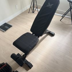 Workout Bench