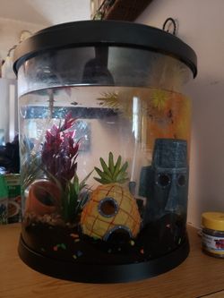 Fish tank