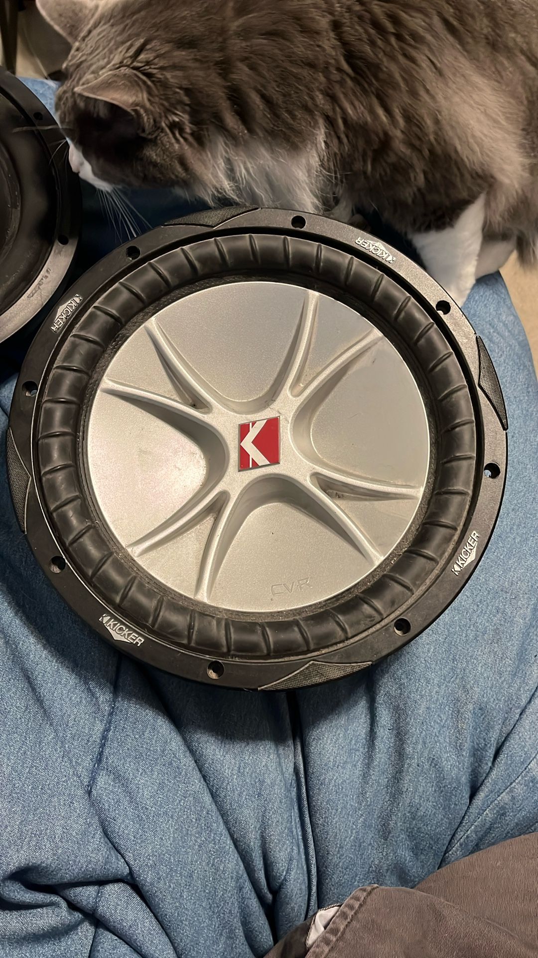 Kicker CVR 2 Ohm
