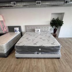 Free Delivery At Home And Cash On Delivery 
