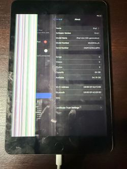 iPad Mini