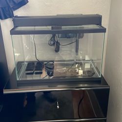 Fish Tank