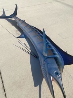 Half mount large marlin