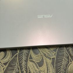 Microsoft Windows Laptop