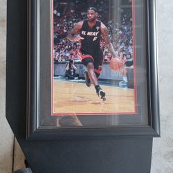 NBA LeBron James Posters