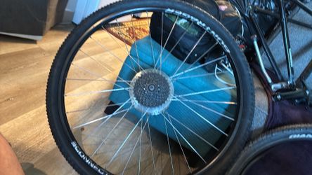 Bike tire amd rim