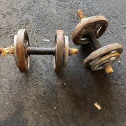 20 Lbs. Dumbbells