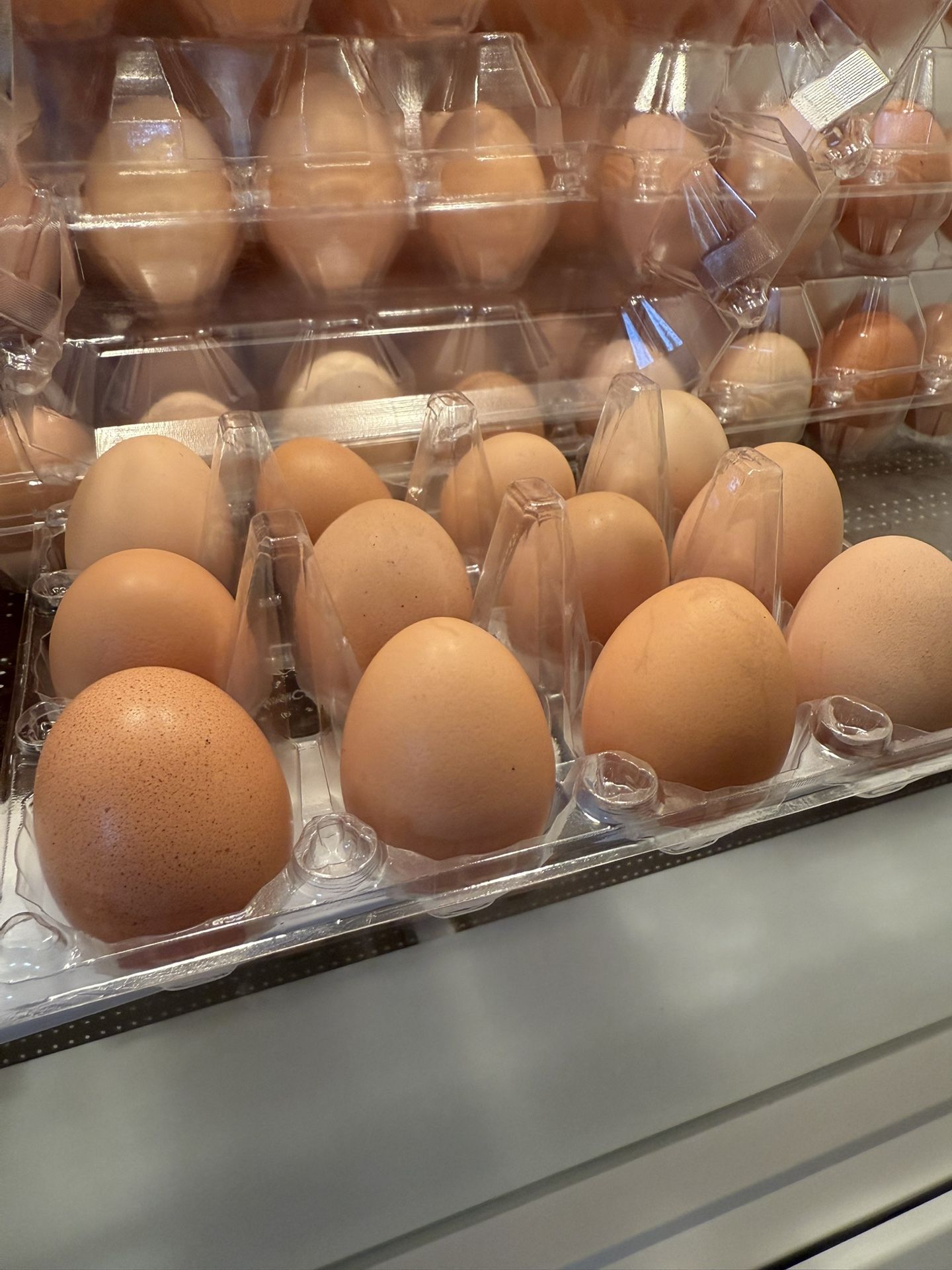 Organic Eggs