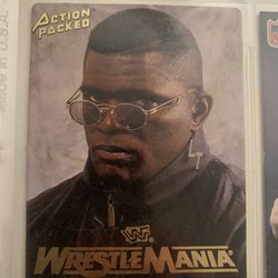 LT wrestle mania XI 1995 Rare Mint 