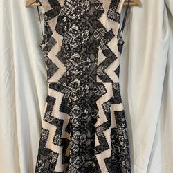 Fire Los Angeles Blush and Black Lace Overlay Dress