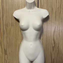 Female Torso - Las Vegas Mannequins