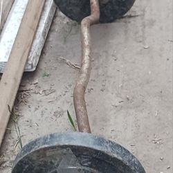 Weight Bench N Weights