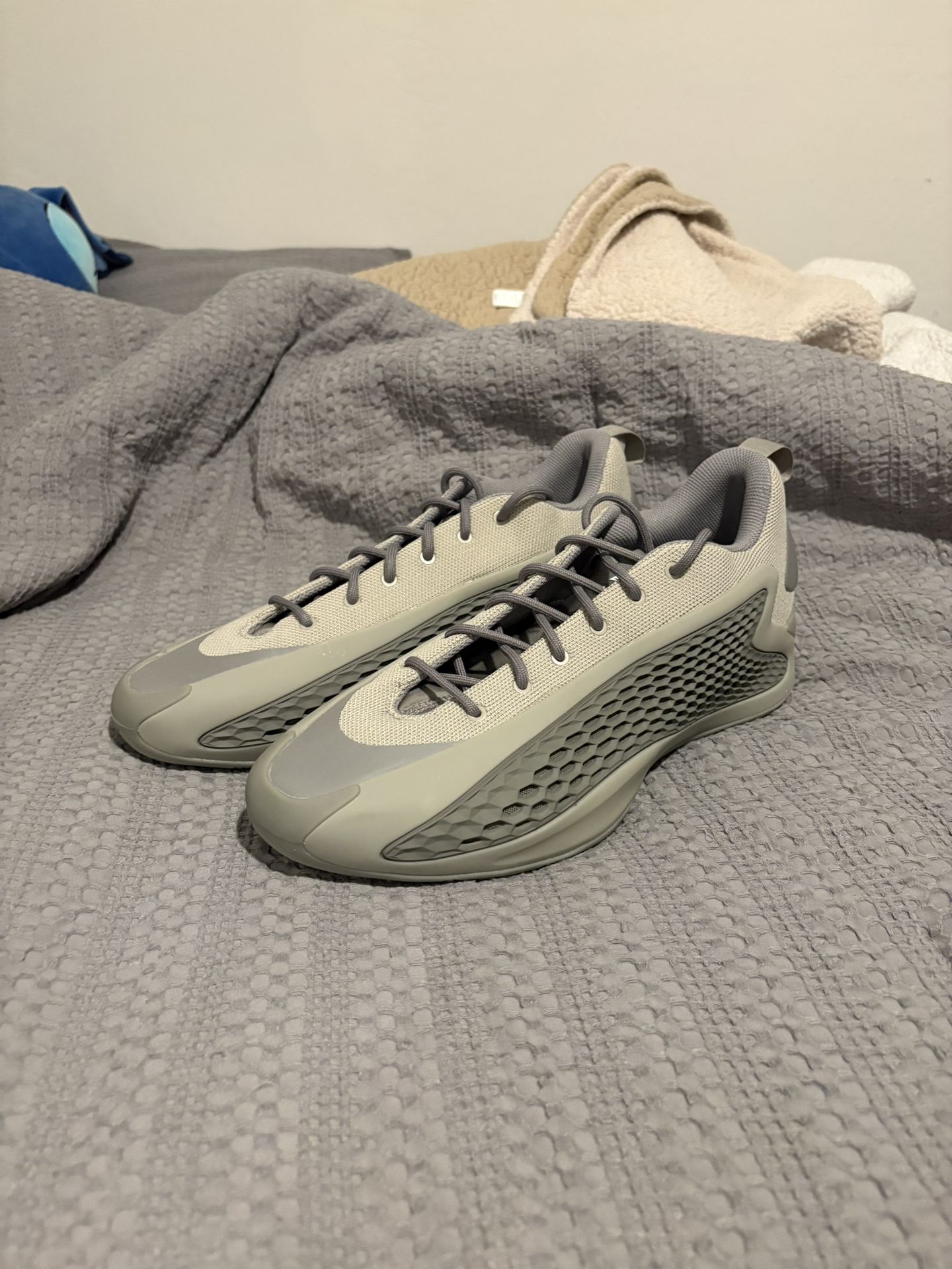 AE1 Low Gray