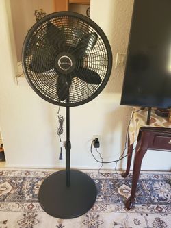 Fan