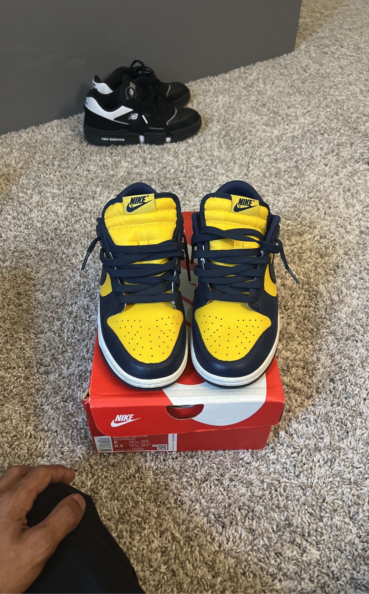 Nike Dunk Low Michigan 