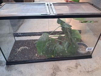 Aquarium