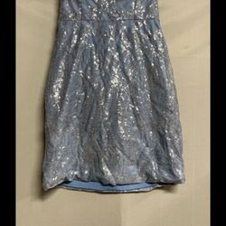 Sequin Dress 