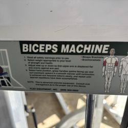 Flex Bicep 