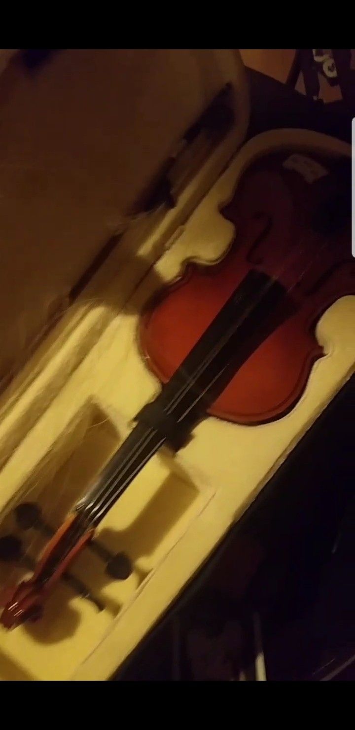 Violin 24"