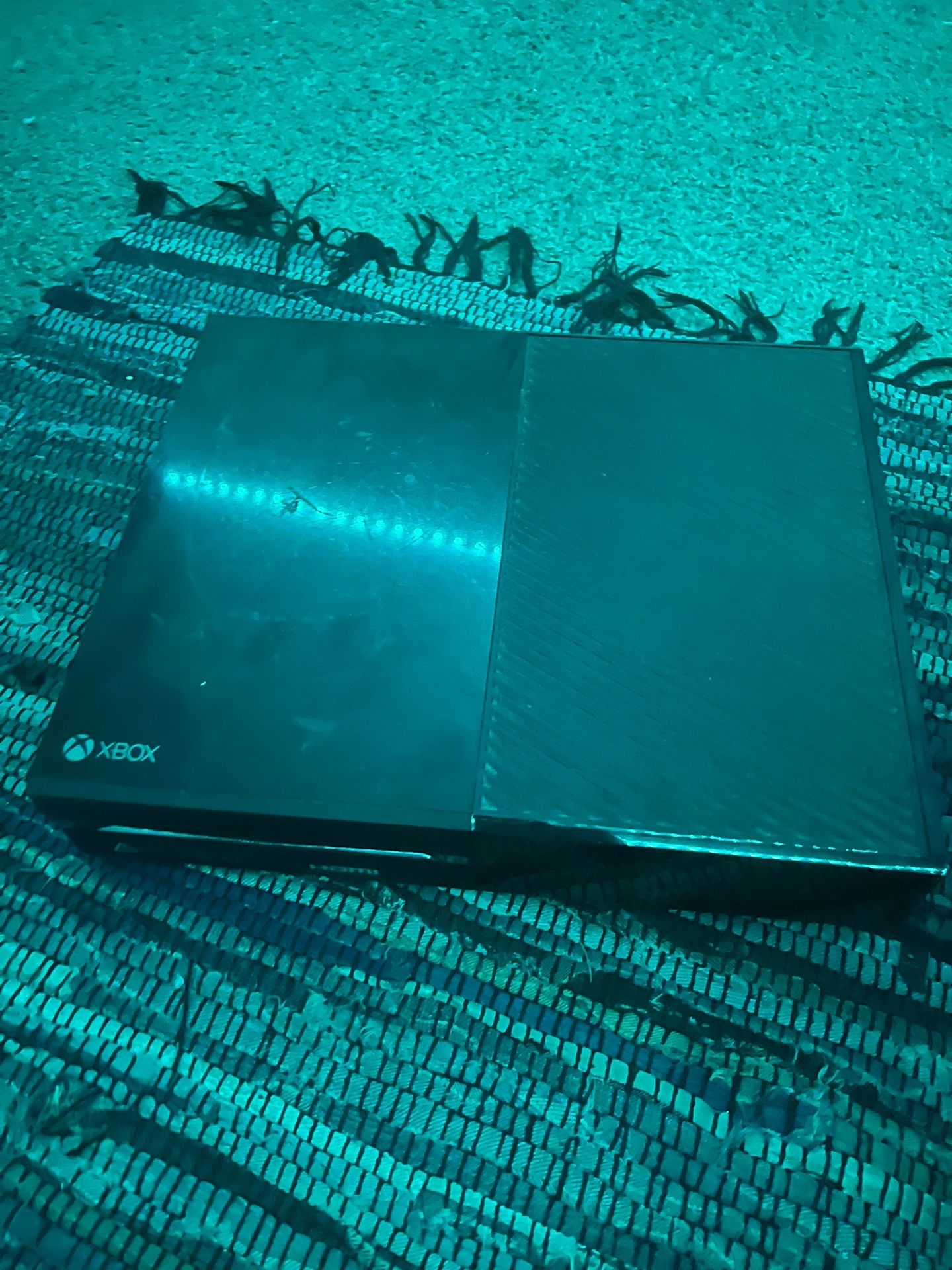 Xbox