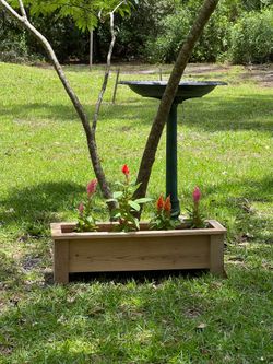 Small Cedar Planter
