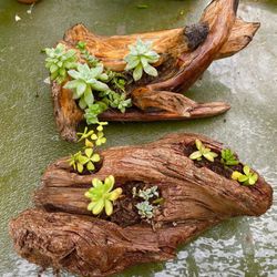 Driftwood Table Planters Includes Plants 