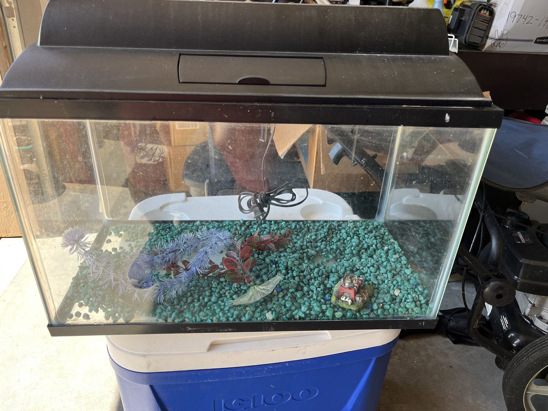 Fish Aquarium With Some Accessories ( 10 Gal.)