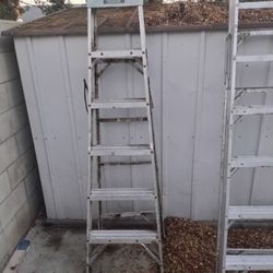 Gorilla Ladder 