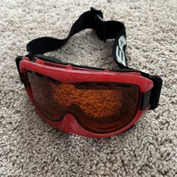 Ski Goggles