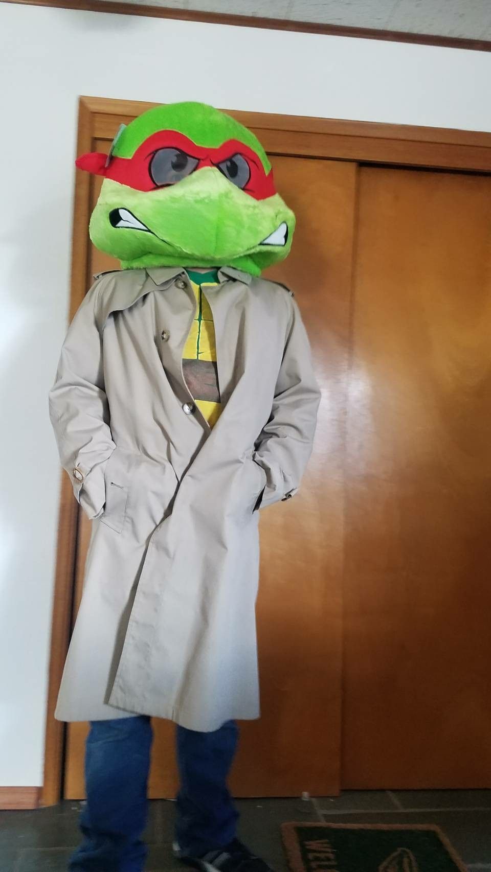 Tmnt Raphael custom Halloween Costume Adult size 40 mens for Sale in Kalispell, MT OfferUp